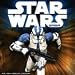 Book Star Wars Saga 2008 16 Month Wall Calendar