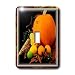 Susan Brown Designs Thanksgiving Holiday Themes – Thanksgiving…