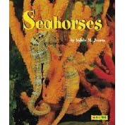Seahorses