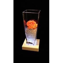 Fortune Products LB-5W Square Light Base with White LED's, 5" Length x 5" Width x 1-1/4" Height
