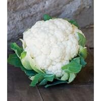 Early Snowball Cauliflower 4 Plants - Easy to Grow