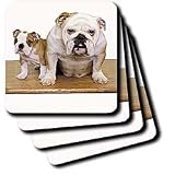 Review 3dRose LLC  / British Bulldog - Set Of 8 Ceramic Tile Coasters
