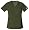 Dark Olive