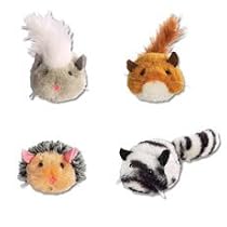 Raccoon skittering and jittering Cat Toy