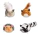 Pet Supplies : All 4 skittering and jittering Cat Toys
