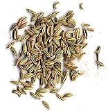 Organic Fennel Seeds, Saunf