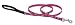 Lupine Small Dog Leash - Puppy Love 6 ft.
