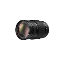 Panasonic Lumix 100-300mm f/4.0-5.6 G Vario Aspherical MEGA OIS Lens for Micro Four Thirds Interchangeable Lens Cameras