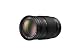 Panasonic Lumix 100-300mm f/4.0-5.6 G Vario Aspherical MEGA OIS Lens for Micro Four Thirds Interchangeable Lens Cameras