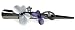 Purple Butterfly Kisses Swarovski Crystal Alligator Clip