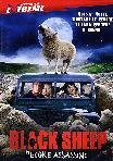 Black Sheep