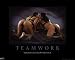 Teamwork Motivational Parody Photo Poster - 24x36