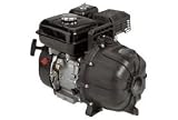 Portable 5.5 Hp Gas Engine Utility Pump