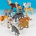 12 Zoo Animals
