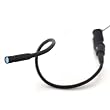 USB Snakescope