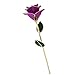 Amazleer Love Forever Long Stem Dipped 24k Gold Foil Trim Purple Rose Enchantress Flora with Thorns Real Rose Dipped in Gold