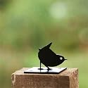 Garden Ornament, Metal Fence Post Finial - Wren, Ideal Garden Gift