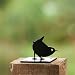 Garden Ornament - Wren