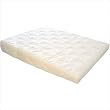 Science of Sleep Wedge for Acid Reflux
