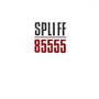 85555