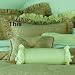 JC Penney Endear Ruffled Pillow European Sham Soft Gold
