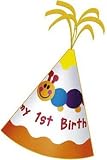 Baby Einstein 1st Birthday Felt Party Hat
