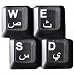 HQRP Arabic Keyboard White Stickers On Transparent Background for All PC / Desktops / Laptops / Notebooks / Computers