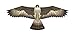X-Kites Birds of Prey Kite 48