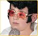 Elvis Sunglasses with Sideburns