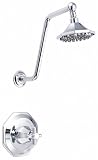 Danze D503566 Brandywood Single Faucet Chrome