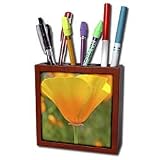 31n5kx8Gr3L. SL160  Patricia Sanders Flowers   California Poppy Orange Flower Floral Photography Nature   Tile Pen Holders 5 inch tile pen holder