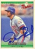 Darren Reed, Montreal Expos, 1992 Donruss The Rookies Autographed Card