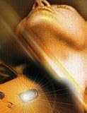 Thrust DVD Unrated [2003]