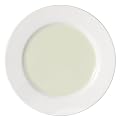 Swatch Salad Plate Set of 4 - Lime