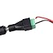 XKTTSUEERCRR 16.4ft/5M, Black PCB 5050 SMD 300LED/Roll, Red Color, Waterproof(IP65) Flexible Strip Light, DC 12V For Outdoors/ Indoors/ Car/ Truck/ Mall/ Booth/ Stage/ House Celebration Decoration + DC Connector (Power Supply Not Included)