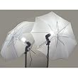 2 PHOTOGRAPHY STUDIO CONTINUOUS LIGHTING KITS W/ TWO FREE Day-Light CFL LIGHTS & UMBRELLAS FOR PRODUCT, PORTRAIT, & VIDEO SHOOT
