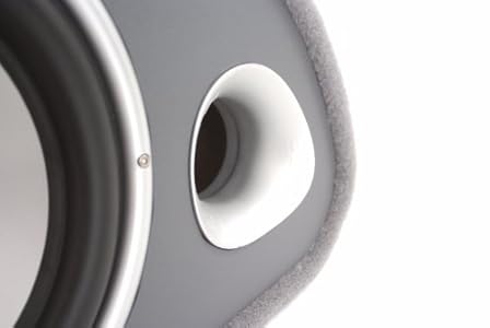 Buying guide of  FLI Audio Trap 12" inch Active Amplified Subwoofer Sub Bass Box Enclosure