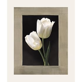 Tulipani Bianchi - Art Print - 50x50cm - Art247.com Poster Print