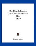 Der Morphologische Aufbau Von Verhuellia Miq. (1872) MIQ