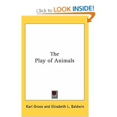The Play of Animals
