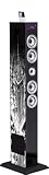 TOUR IPHONE IPOD MP3 ISB SD USB RADIO THEME NEW YORK