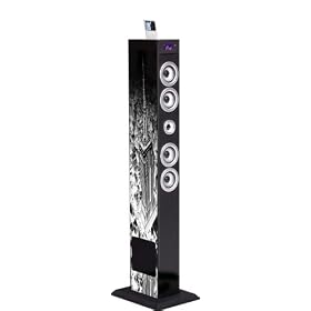 TOUR IPHONE IPOD MP3 ISB SD USB RADIO THEME NEW YORK