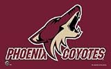 Phoenix Coyotes - NHL Team Flags