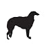 Hound Dog Pet Borzoi Car Truck Vehicle Bumper Helmet Decal Sticker Wall Art Laptop Design Skin Stickers
