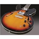 Johnny Brook 335 Jazz Style Semi-Acoustic Guitar