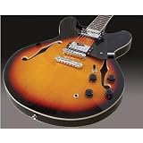 from Johnny Brook Johnny Brook 335 Jazz Style Semi-Acoustic Guitar