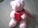 White Valentine's Day Teddy Bear Plush