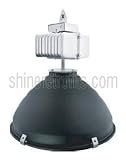 Neptun Light 19150-DIM-AL 150 Year Warranty
