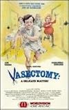 Vasectomy: A Delicate Matter