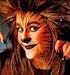 Halloween Makeup Kit - Cat/Lion
